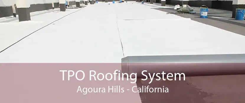 TPO Roofing System Agoura Hills - California